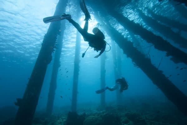 Diving is excellent in the Dutch Antillies