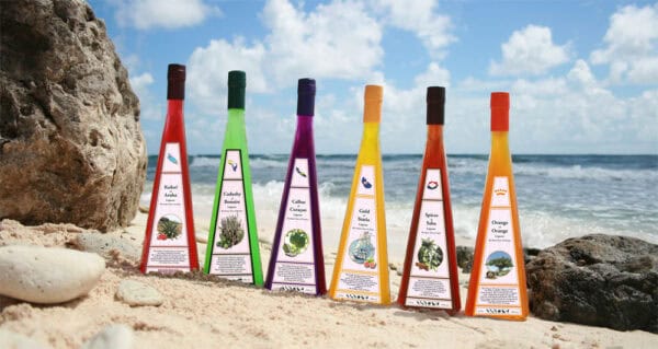 Island Liqueurs - It all started with the idea to make a Liqueur out of the plentiful cacti, the Kadushi; A Liqueur for every Island of the Dutch Caribbean.
